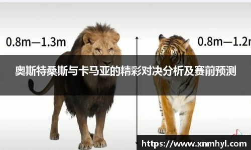 奥斯特桑斯与卡马亚的精彩对决分析及赛前预测